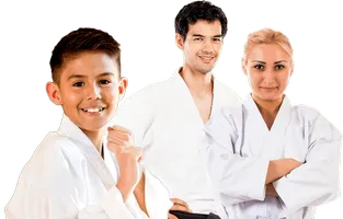 Adult Martial Arts